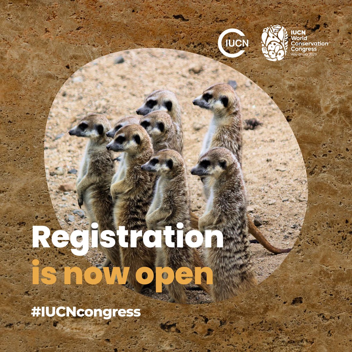 Don’t miss the chance to influence the decisions that will impact your work, and the world.

Register now for the #IUCNcongress help shape global #conservation priorities for the coming decade.

➡️ bit.ly/4iFPpGh