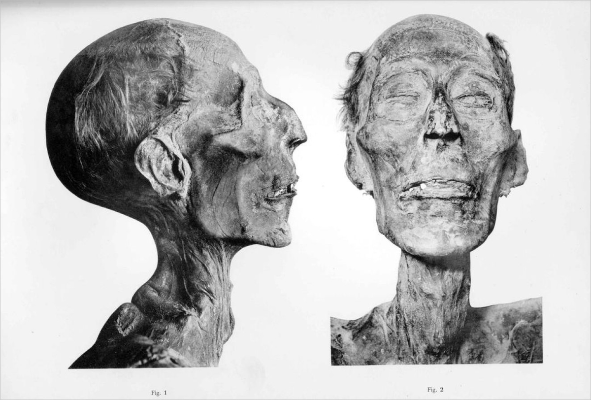 Wir öffnen die #Krankenakten der #Pharaonen...
Im 2. Teil unseres #Webinars zur altägyptischen #Heilkunde beleuchten wir #Krankheit &amp; #Therapie im Alten #Ägypten aus unserem heutigen Blickwinkel.
Hier geht's zur Anmeldung: seschat-fernschule.de/Webinar-Medizi…