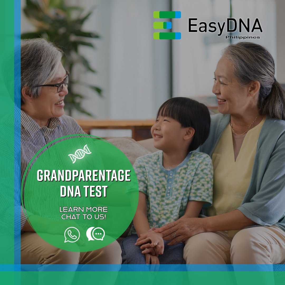easyDNAph's tweet photo. Did you know your sleep habits or anxiety might be inherited from your grandparents? 🧬

Our Grandparentage DNA Test helps confirm family links when a parent isn’t available — perfect for legal, immigration &amp; paternity cases.
https://t.co/D85mYJ5wnl
#DNA #relationshiptesting https://t.co/JnVKFsM8iB