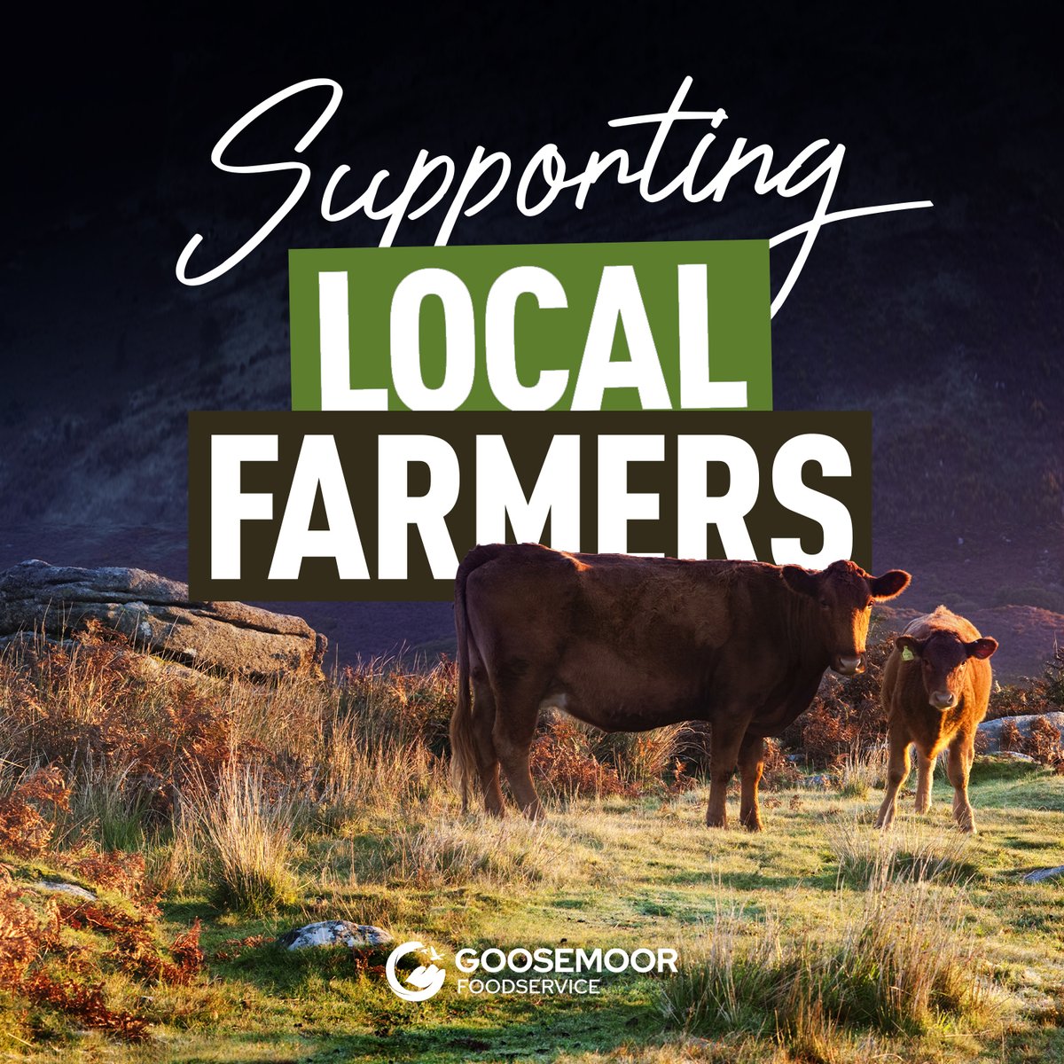 goosemoorfoods's tweet photo. Always supporting fresh and local. #localfarmers #localproduce #seasonalproduce #freshandlocal https://t.co/2xFjJ2tbms