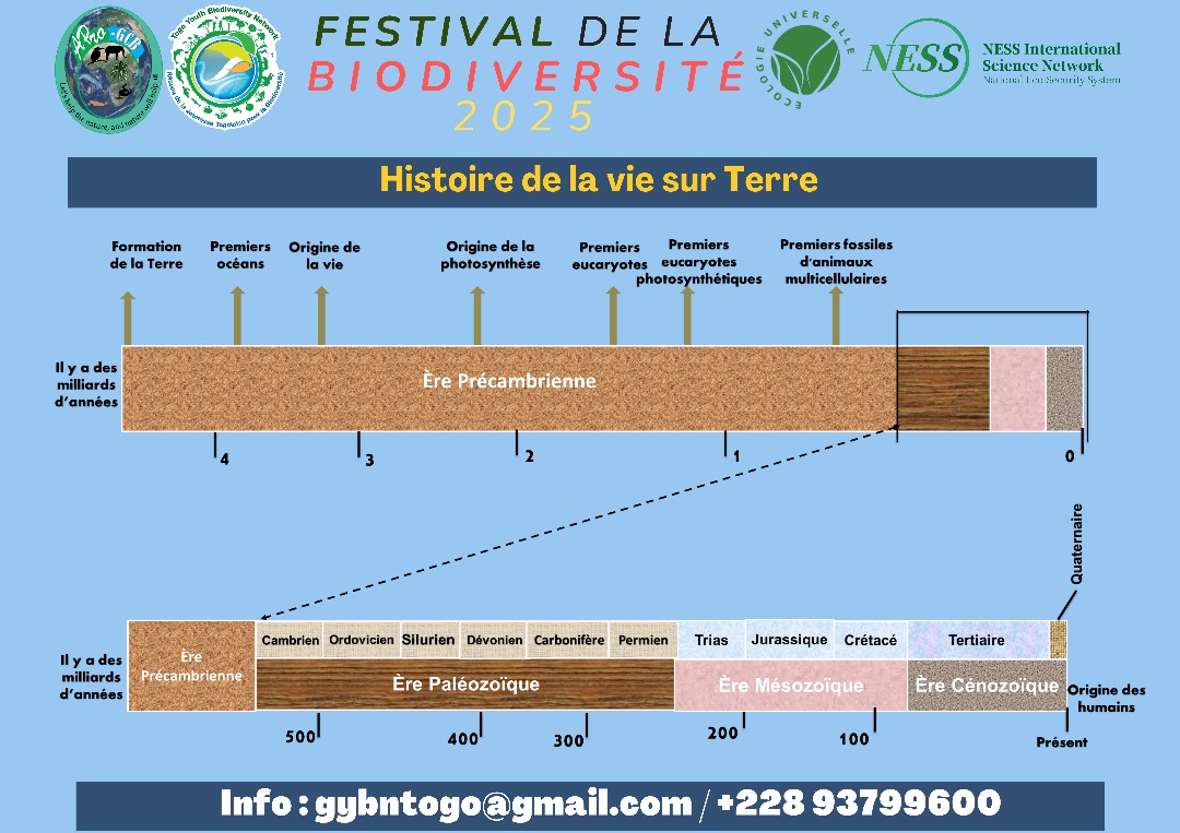 AbdouKamat24575's tweet photo. Selon les scientifiques,ns vivons ojrd8 la 6ᵉ #extinction #massive, causée non pas par un astéroïde ou 1e catastrophe naturelle,mais par #nos propres actions.#FestivalBiodiversité #GYBN #Togo #ÉcologieUniverselle #SciencePourTous @KMawougnigan @AbdouKamat24575 @AmandinBIGNANDI https://t.co/bXlfjnfDwH