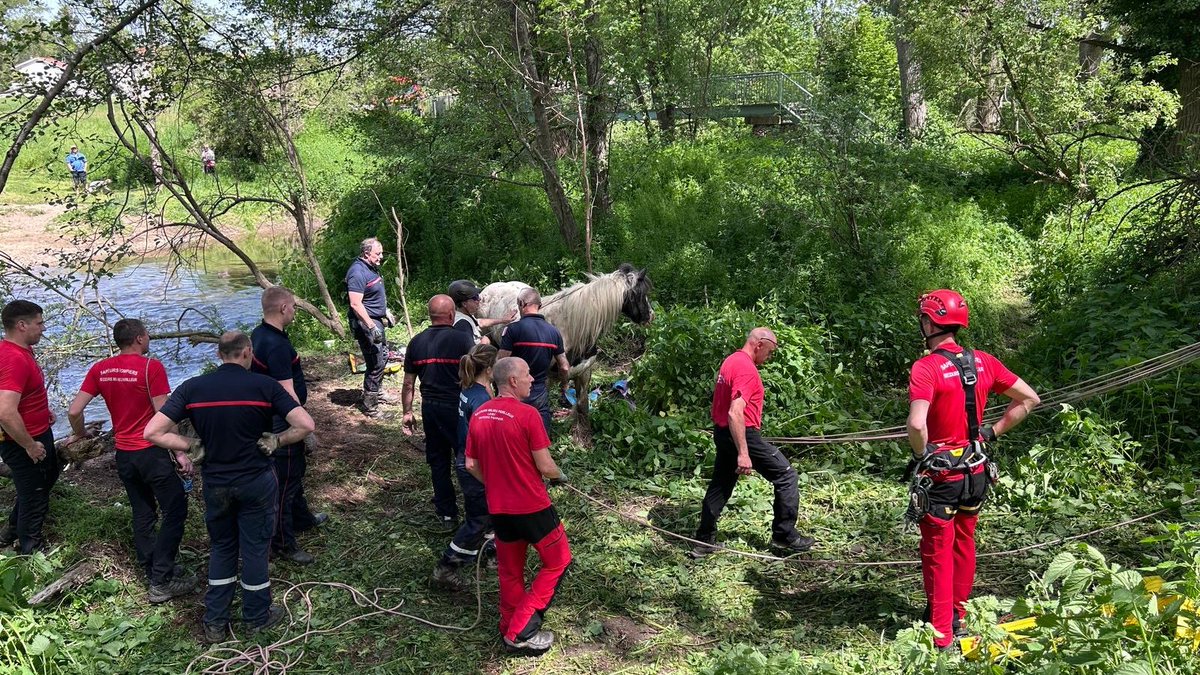 Sapeurs-pompiers de la Loire / SDIS 42 tweet media