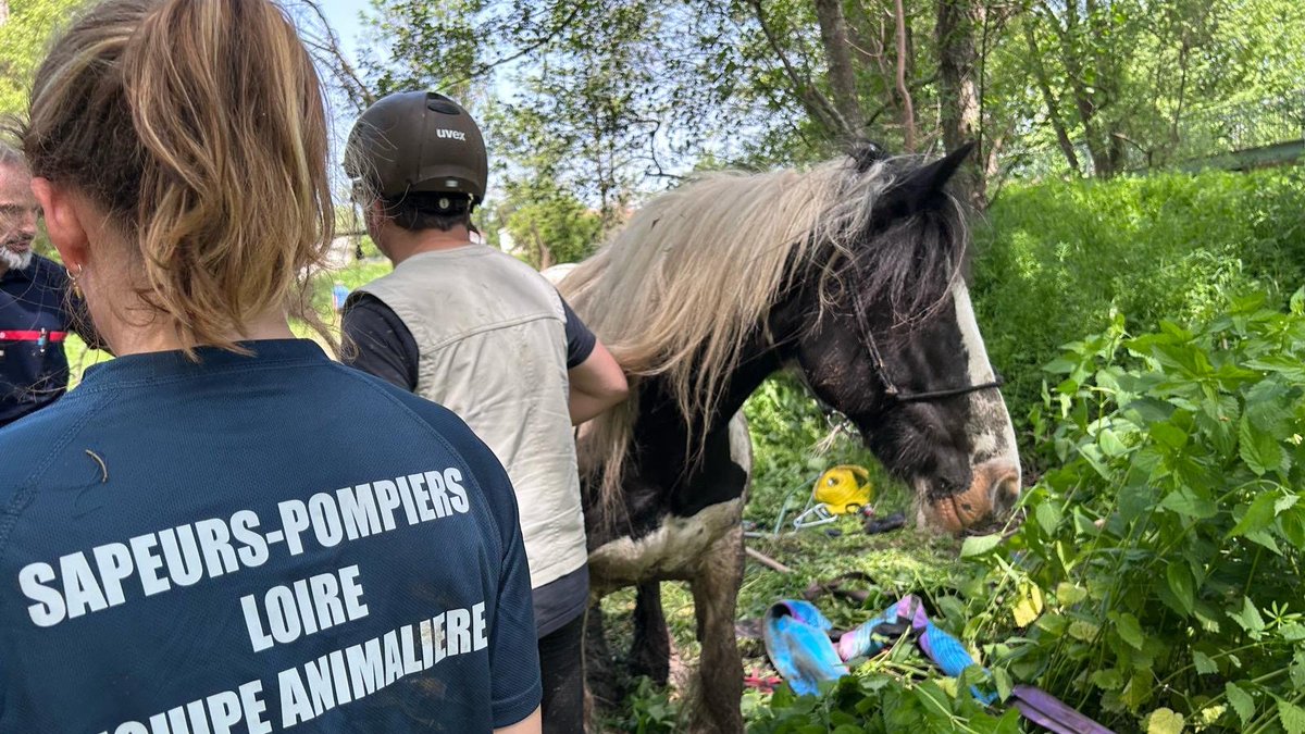 Sapeurs-pompiers de la Loire / SDIS 42 tweet media