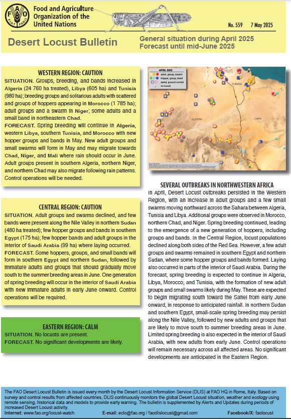 FAO Plants tweet media