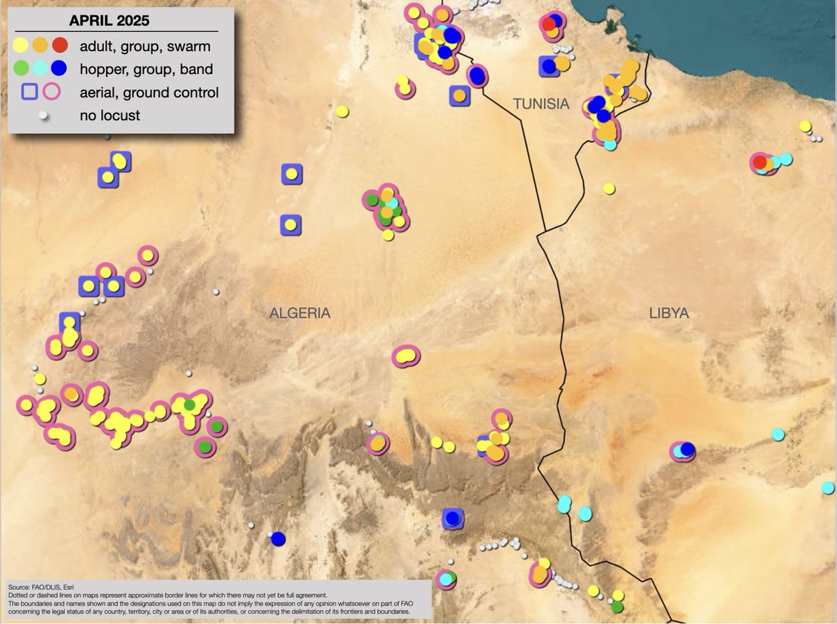 ℹ️Desert locust Bulletin: Outbreaks persisted in southern #Sahara and Northwestern Africa

➡️Groups, breeding &amp; bands increased in #Algeria, #Libya, and #Tunisia; adult groups in #Niger, breeding and groups in #Morocco, adults and a small band in #Chad. 

fao.org/locust-watch/en