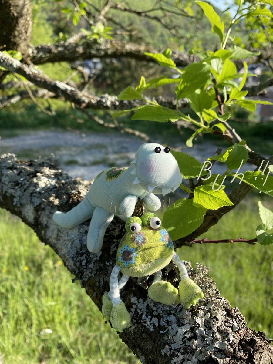 Im Frühling ein beliebter Dino-Scherz 👉Frösche erschrecken 😆