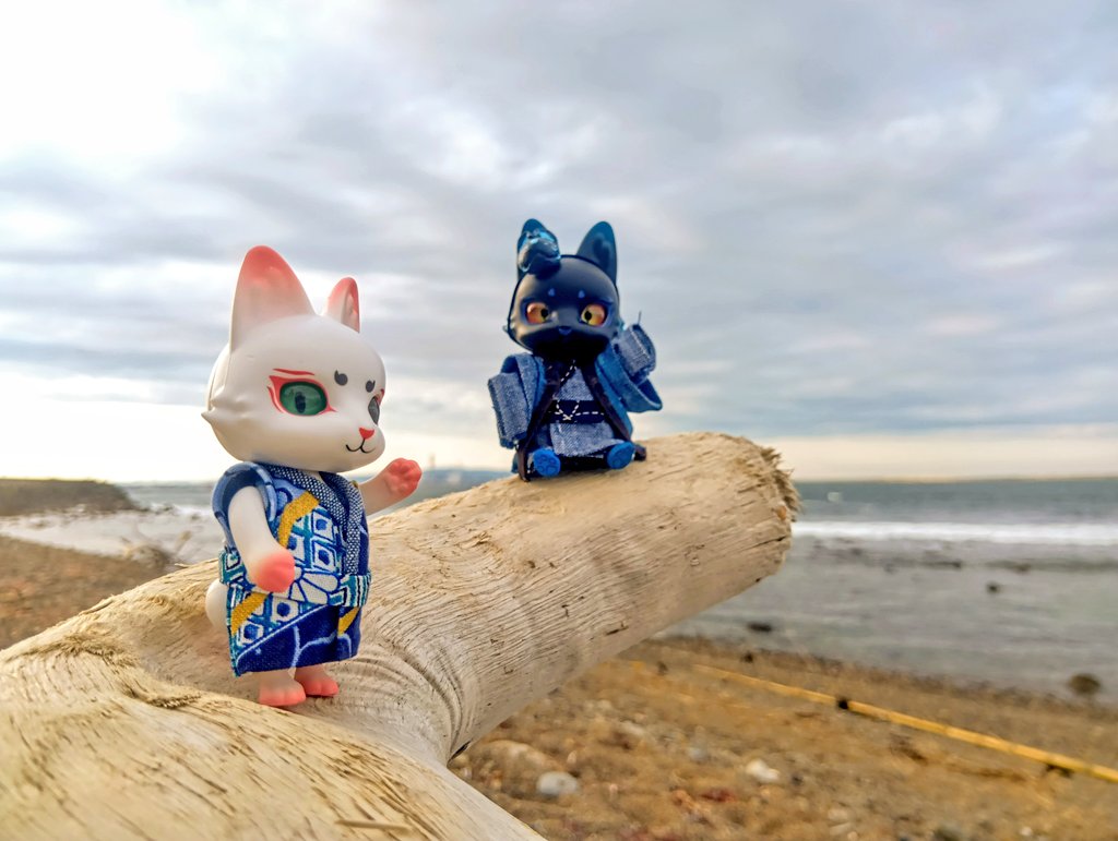 夜虎狐 Amazon.co.jp: 狐の窓~ゆるっと怪異~ : 夜風 さらら: 本