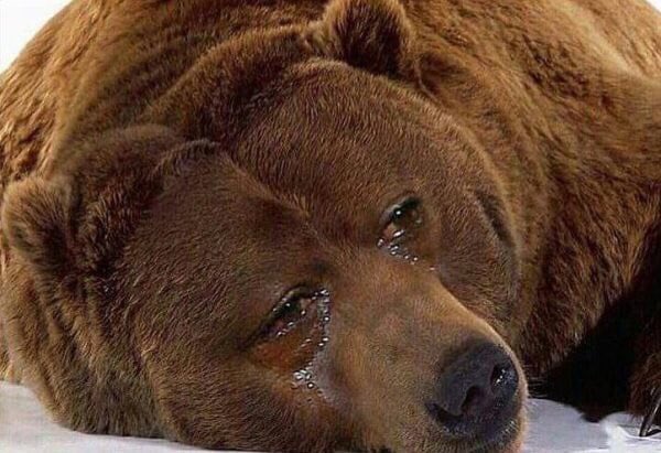 When Bitcoin finally hits $85,000, but you’re still feeling bearish AF. 🐻💔 “Is it too late to switch to bull?”

#Bitcoin #BTC #CryptoHumor #CryptoTrading #CryptoNews #HODL