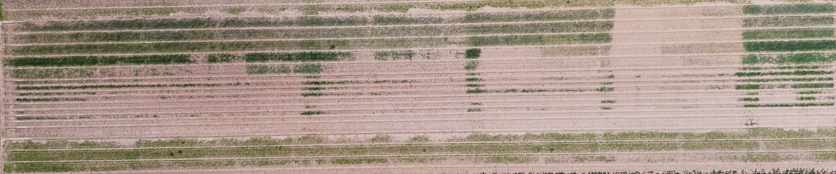 Gareth Bubb tweet media