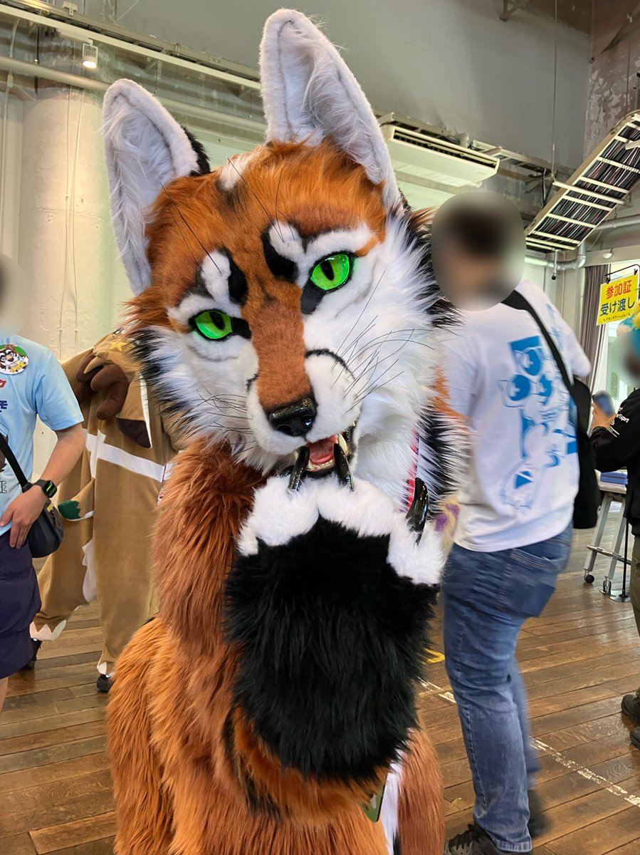 キツネのコカブくん
#ケモすて4