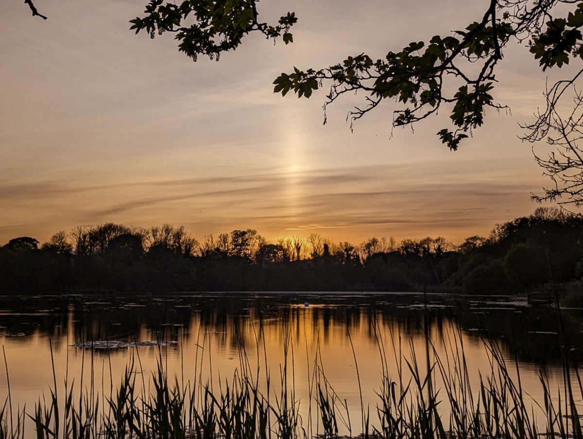 Gerard McCreesh (@gerardmccr12704) on Twitter photo Sunset over Donaghaguy Warrenpoint Co. Down <a href="/WeatherAisling/">Aisling Creevey</a> <a href="/Louise_utv/">Louise Small</a> <a href="/bbcweather/">BBC Weather</a> <a href="/ScenesOfUlster/">Scenes of Ulster</a> <a href="/ThePhotoHour/">#ThePhotoHour</a> <a href="/barrabest/">Barra Best</a> <a href="/angie_weather/">angie phillips</a> <a href="/WeatherCee/">Cecilia Daly</a> <a href="/CarlingfordIRE/">Carlingford Lough</a> Sunset over Donaghaguy Warrenpoint Co. Down <a href="/WeatherAisling/">Aisling Creevey</a> <a href="/Louise_utv/">Louise Small</a> <a href="/bbcweather/">BBC Weather</a> <a href="/ScenesOfUlster/">Scenes of Ulster</a> <a href="/ThePhotoHour/">#ThePhotoHour</a> <a href="/barrabest/">Barra Best</a> <a href="/angie_weather/">angie phillips</a> <a href="/WeatherCee/">Cecilia Daly</a> <a href="/CarlingfordIRE/">Carlingford Lough</a>