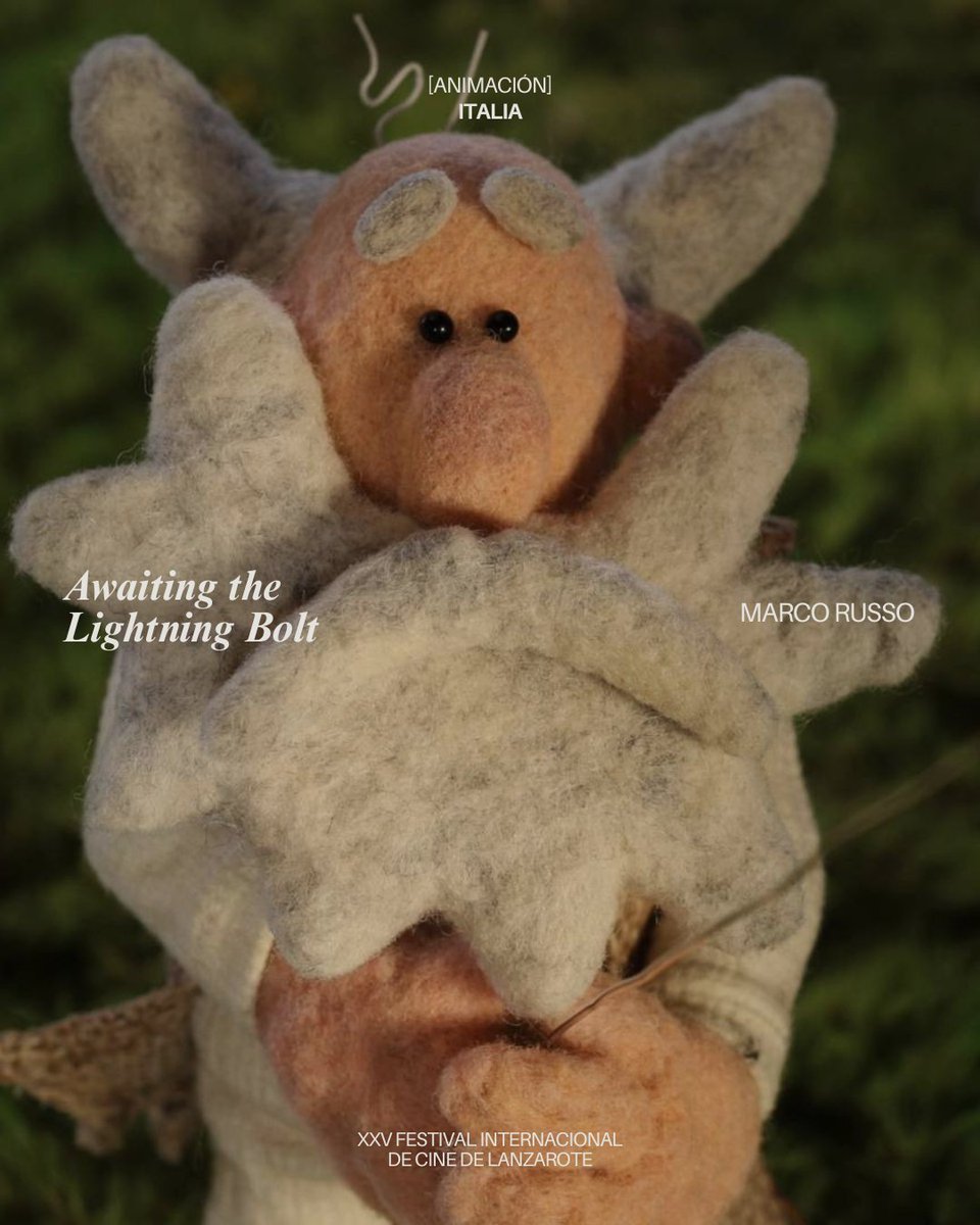 Festival Internacional de Cine Lanzarote tweet media