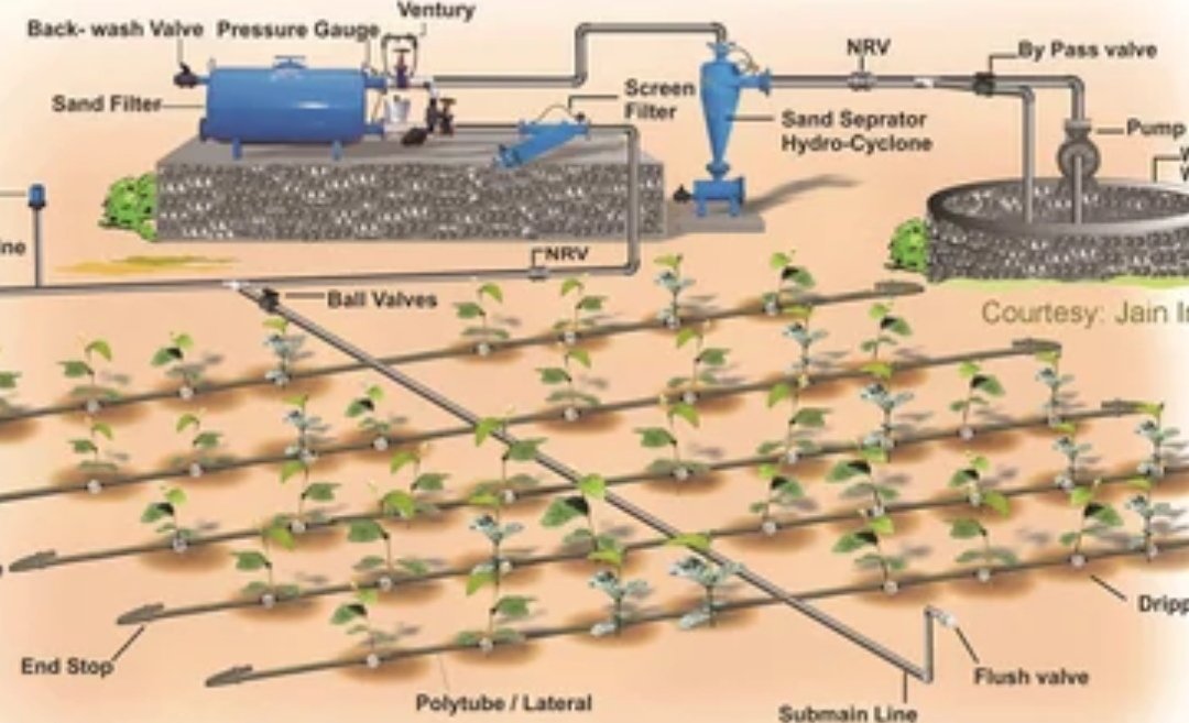 Protwizeyimana's tweet image. The physics behind drip irrigation is fascinating, delivering water at 1-4 liters/hour directly to root zones reduces evaporation losses by up to 80%. #WaterEfficiency #AgEngineering