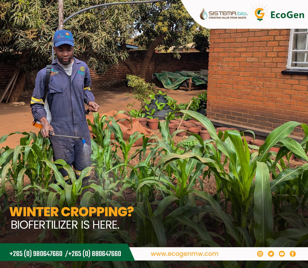 Those with our biogas systems no longer have to worry about where to get fertilizer for their winter farming.

The biogas system will give them an endless supply of biofertilizer. 

Get a biogas system at as low as K288, 000, and enjoy these benefits.
 
#Biogas #Biofertilizer