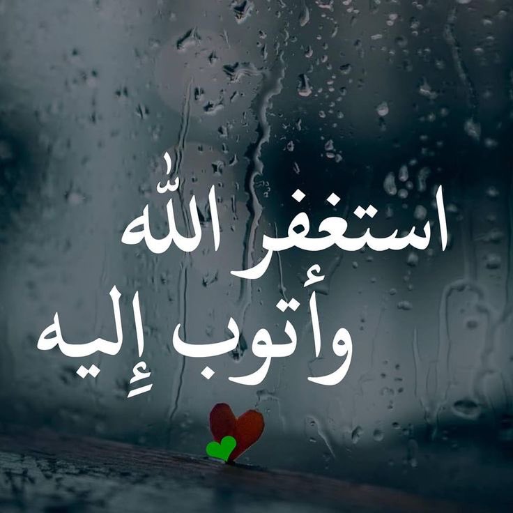 #منازل_المستغفرين_الجنه
استَغْفِر اللّه بِقدر غَفلتي
ونسيَاني وتَكاسُلي عَن ذِكره
أستَغفِر اللّه وأتوب إليه
