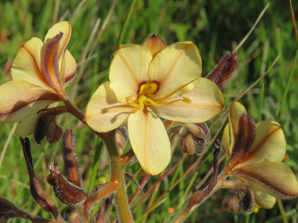 I 💛 Darling Newsletter - mailchi.mp/e8346b927140/i…

Click on Facebook Page Newsletter tab to subscribe to this weekly newsletter.

PHOTO:  Nicole Rothman