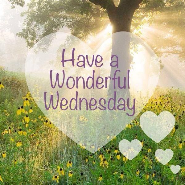 <a href="/Suzannemoon69/">Suzanne</a> Good morning dear Suzanne 🫶🥰
