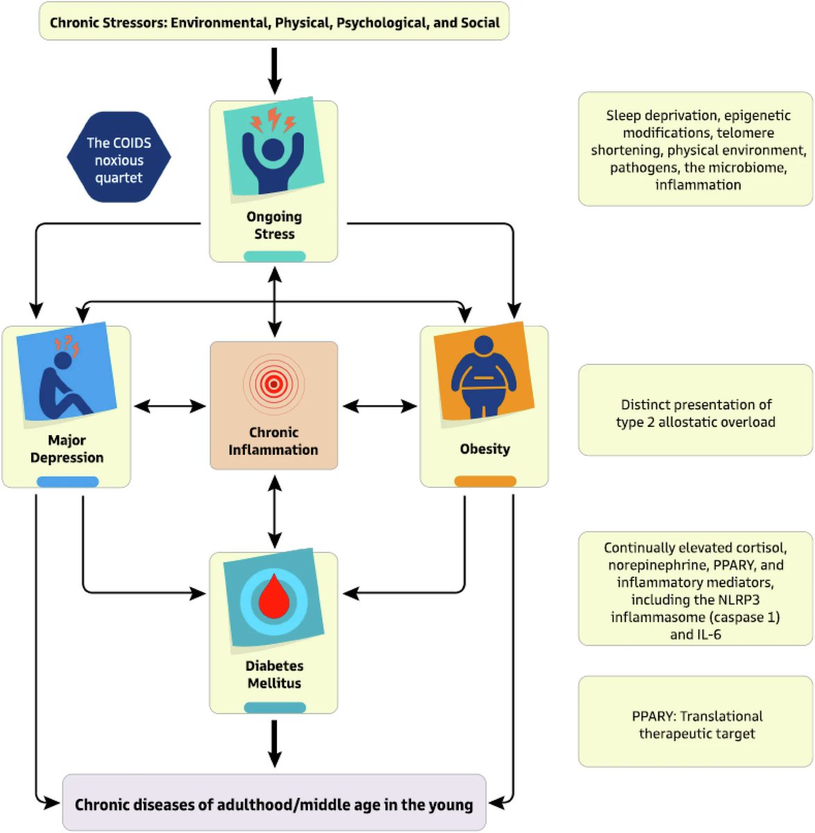 Depression, diabetes &amp; high blood pressure are increasingly common.

A new theory suggests a unifying pathophysiologic mechanism of a chronically overactivated stress response - leading to a pro-inflammatory state.

We need to tackle root causes.