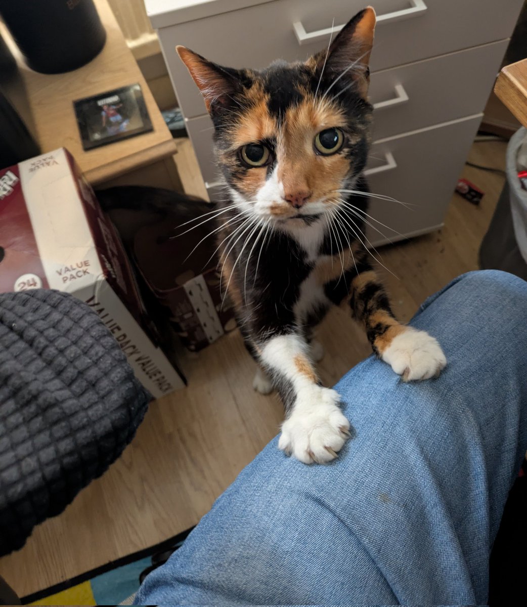 One of the perks of working from home is this little lady