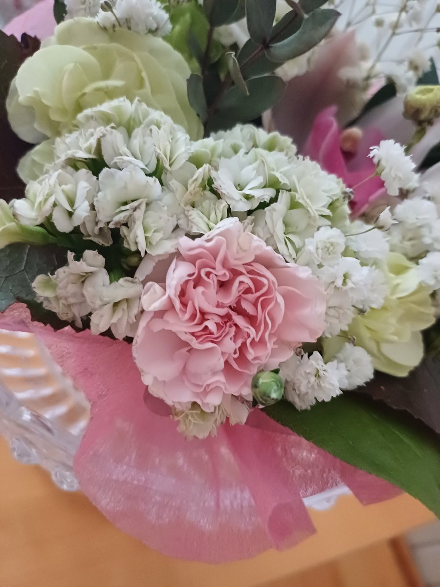 TiinaVisnen10's tweet image. Vapaapäivänä voi nauttia lasillisen shamppanjaa. Ulkona tuulee ja on kylmä ilma, kotona villasukat jalassa voi katsoa elokuvan💙✨️✨️✨️✨️💙