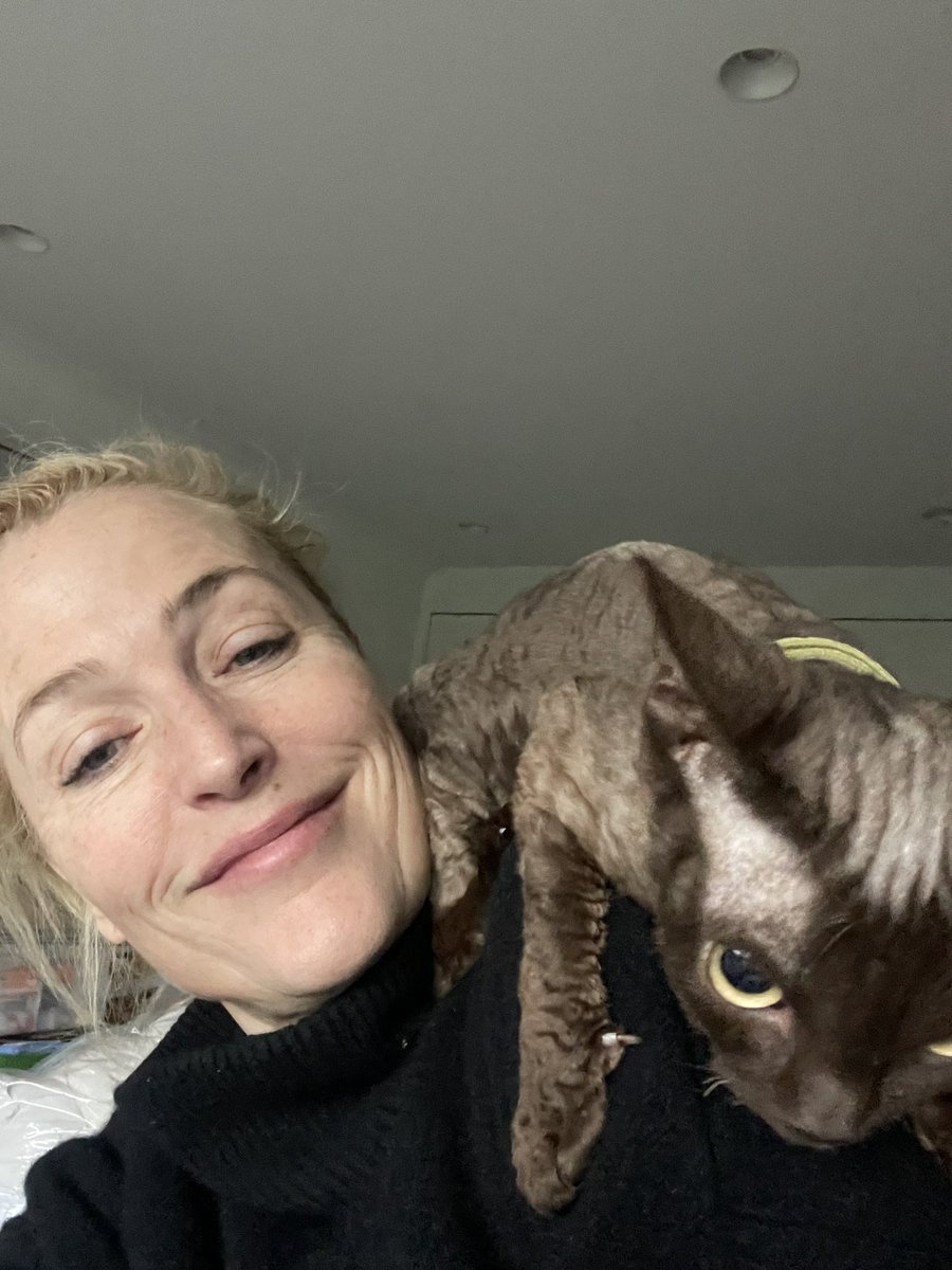 best of gillian anderson tweet media