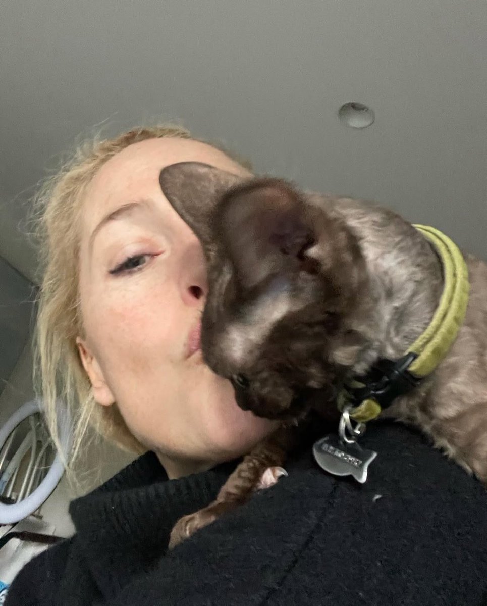 best of gillian anderson tweet media