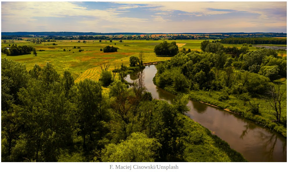 IMGWmeteo's tweet image. Ukazał się nowy artykuł w Obserwatorze: Niewidoczne zagrożenie w wodach zlewni rolniczej ⚠️

Zapraszamy do lektury:
obserwator.imgw.pl/2025/05/07/nie…

#IMGW #nauka #Obserwator
