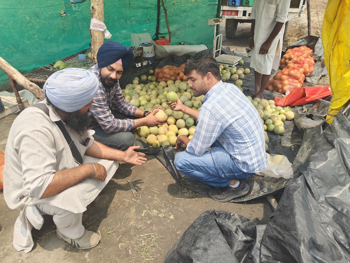 Krishi Vigyan Kendra Mansa tweet media