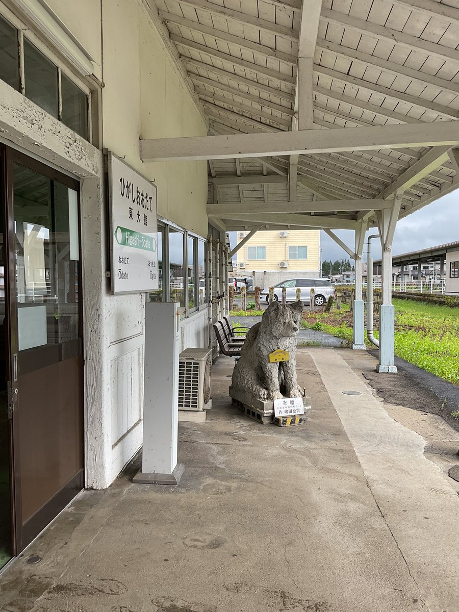 LOVEHachi3's tweet photo. こんにちは
赤ちゃんハチ公❤️
東大館駅、美しいなあー
#秋田犬 #hachiko #花輪線 #staition #大館市 #東大館駅 #ハチ公 https://t.co/SuFpzyttjX