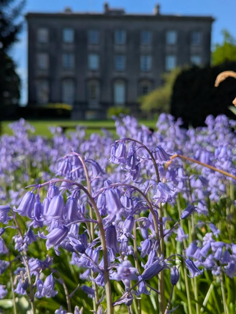 Spring can be a beautiful time of the year, full of colour and sunshine. 🌼 

📍 Palace Demesne, Armagh
📸 Credit to @roknezic for this stunning shot!

Tag us in your captures using #VisitArmagh
________________________
#spring #nature #armagh