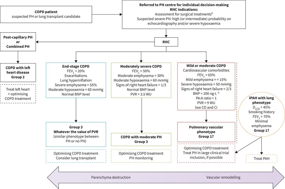 Montani David (@montanidavid) on Twitter photo Phenotyping PH in COPD is a major challenge in respiratory medicine. Grateful for the great collaboration with the Strasbourg team. Our study is now out in ERJ Open Research
<a href="/pulmotension/">Pulmotension</a>
<a href="/InsermU999/">InsermU999</a>
<a href="/SPLF_SocPneumo/">Société de Pneumologie de Langue Française (SPLF)</a>
<a href="/HTaPFrance/">HTaPFrance</a>
publications.ersnet.org/content/erjor/… Phenotyping PH in COPD is a major challenge in respiratory medicine. Grateful for the great collaboration with the Strasbourg team. Our study is now out in ERJ Open Research
<a href="/pulmotension/">Pulmotension</a>
<a href="/InsermU999/">InsermU999</a>
<a href="/SPLF_SocPneumo/">Société de Pneumologie de Langue Française (SPLF)</a>
<a href="/HTaPFrance/">HTaPFrance</a>
publications.ersnet.org/content/erjor/…