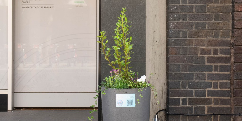 Spring has sprung in Hatton Garden, with the arrival of 36 new planters 🌻 Find them across the district to see them in all their glory!