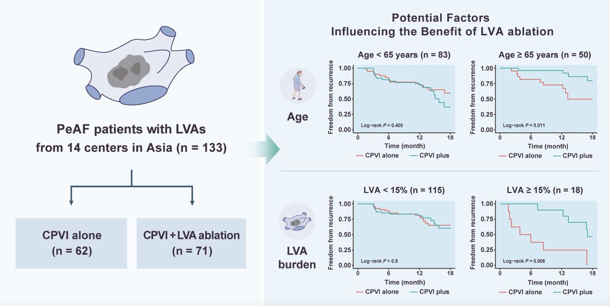Europace Editor-in-Chief (@europaceeic) on Twitter photo #EPeeps
Persistent Atrial Fibrillation with Left Atrial Low-Voltage Area: Who Benefit from Additional Modification?
📖 academic.oup.com/europace/advan…
<a href="/GiulioConte9/">Giulio Conte</a> <a href="/Dominik_Linz/">Dominik Linz</a> <a href="/FraSantoroMD/">Francesco Santoro, MD, PhD</a>
<a href="/AndyZhangMD/">Xiaodong Zhang (Andy), MD, PhD, FHRS, FACC</a> <a href="/DavideMei93/">Davide Mei</a> <a href="/marcovitoloMD/">Marco Vitolo Ⓜ️</a> <a href="/LuigiDiBiaseMD/">Luigi Di Biase</a> #EPeeps
Persistent Atrial Fibrillation with Left Atrial Low-Voltage Area: Who Benefit from Additional Modification?
📖 academic.oup.com/europace/advan…
<a href="/GiulioConte9/">Giulio Conte</a> <a href="/Dominik_Linz/">Dominik Linz</a> <a href="/FraSantoroMD/">Francesco Santoro, MD, PhD</a>
<a href="/AndyZhangMD/">Xiaodong Zhang (Andy), MD, PhD, FHRS, FACC</a> <a href="/DavideMei93/">Davide Mei</a> <a href="/marcovitoloMD/">Marco Vitolo Ⓜ️</a> <a href="/LuigiDiBiaseMD/">Luigi Di Biase</a>
