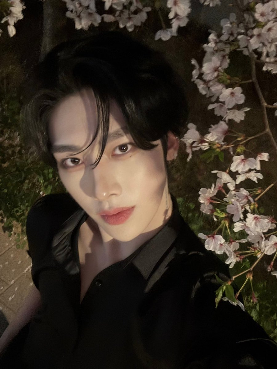 jian ⏾⋆.˚ ia tweet media