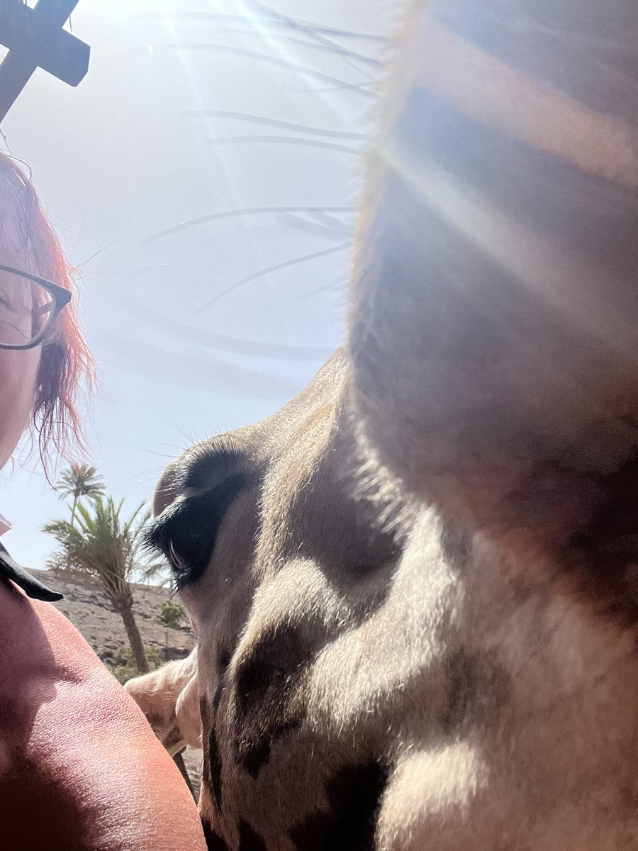 larmillmoo's tweet photo. @charliersmith1 A selfie with a giraffe.  Sending you lots of love and hug.  My inbox is always open if you need to talk xx https://t.co/YbCe9VOXee
