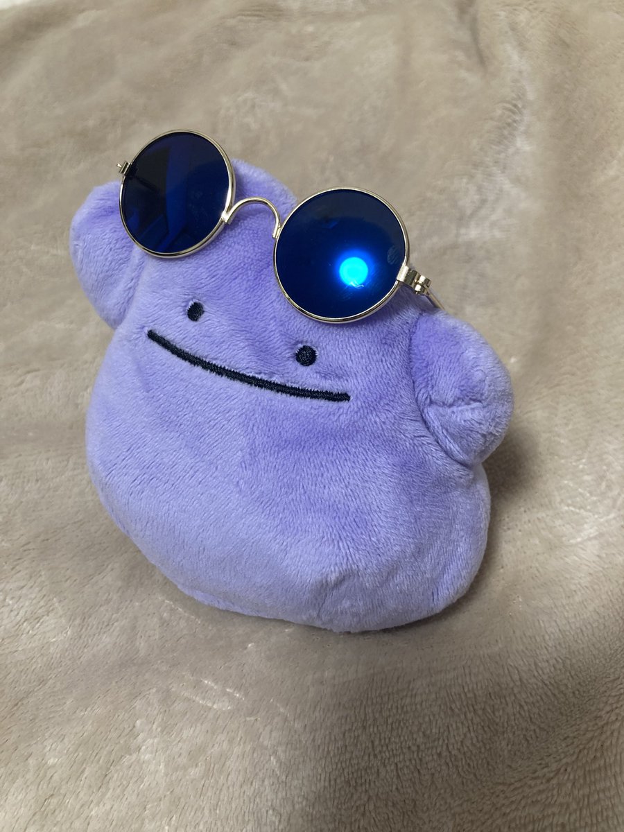 ひざしが　つよい☀️
くろいメガネ