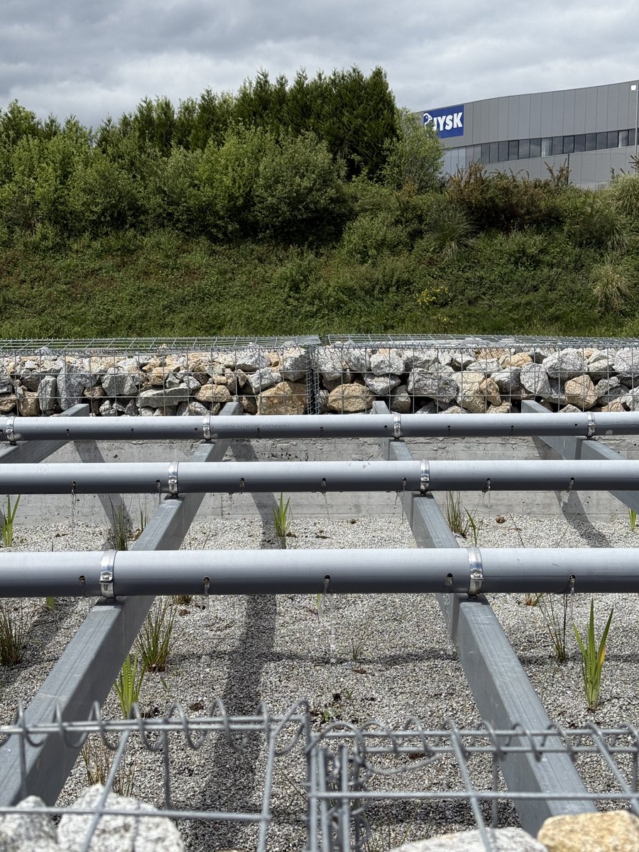 🌿 Poñemos en marcha en <a href="/PazodeRaxoi/">Concello de Santiago</a> unha infraestrutura verde pioneira para tratar as augas de escorras. 

💧 Un fito enmarcado no proxecto europeo #WATERUN que visitamos co concelleiro <a href="/DominguezXesus/">Xesús Domínguez</a>, técnicos municipais e <a href="/aimenct/">AIMEN Centro Tecnológico</a> e SEECON.  

👉 viaqua.gal/gl/-/santiago-…