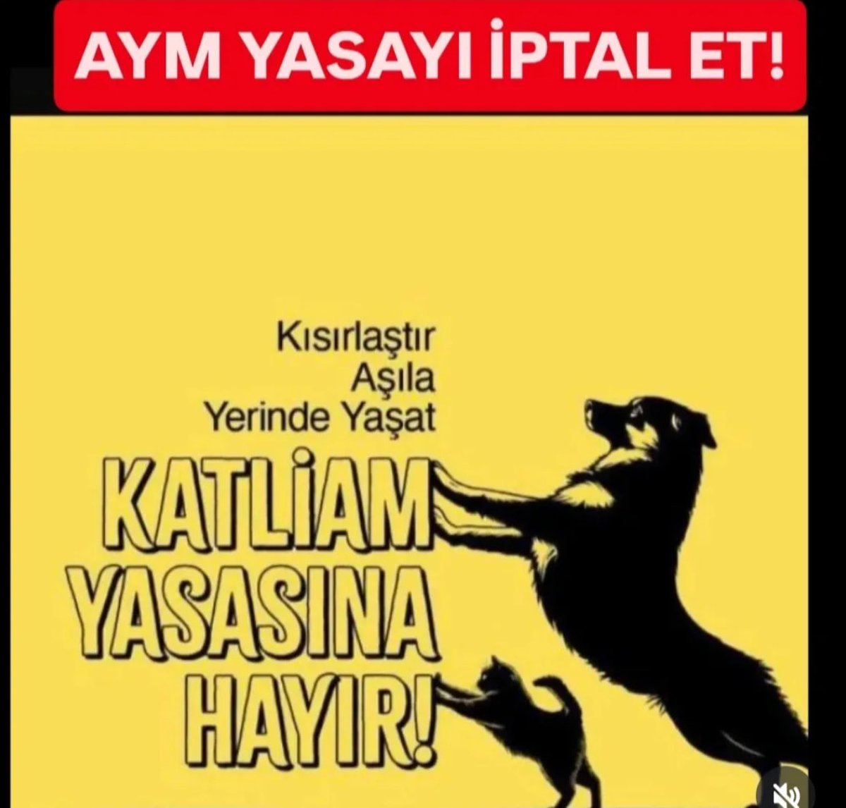 Deniz Kızı Talya (@umayumay3434) on Twitter photo 