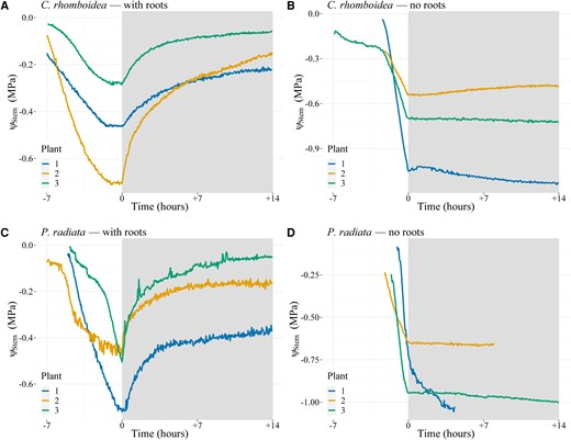 Ibrahim Bourbia (@ibrahimbourbia) on Twitter photo New paper in <a href="/PlantPhys/">Plant Physiology</a>
Substantial capacitance found in the roots of 2 contrasting conifer species
<a href="/CoEPlantSuccess/">ARC Centre of Excellence for Plant Success</a> <a href="/AbioticStress/">Abiotic stress in plants (Green Survivors)</a> <a href="/Brodribb_Lab/">Brodribb Lab</a>
doi.org/10.1093/plphys… New paper in <a href="/PlantPhys/">Plant Physiology</a>
Substantial capacitance found in the roots of 2 contrasting conifer species
<a href="/CoEPlantSuccess/">ARC Centre of Excellence for Plant Success</a> <a href="/AbioticStress/">Abiotic stress in plants (Green Survivors)</a> <a href="/Brodribb_Lab/">Brodribb Lab</a>
doi.org/10.1093/plphys…