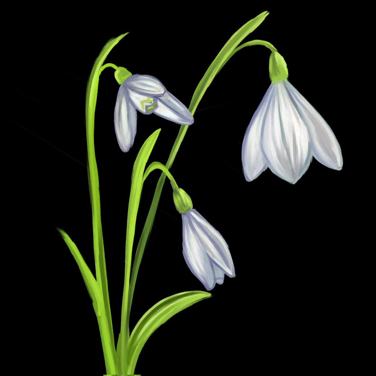 Miyukiartt's tweet image. Im gonna make flower trend like this, if anyone wanna join you can send me and let me know ♡ (they are going to be on black screen)
Art by: ixivart (on instagram)