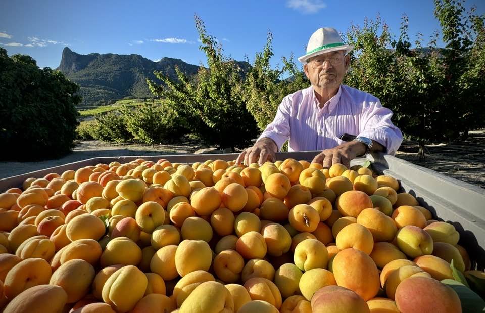 MeteOrihuela tweet media