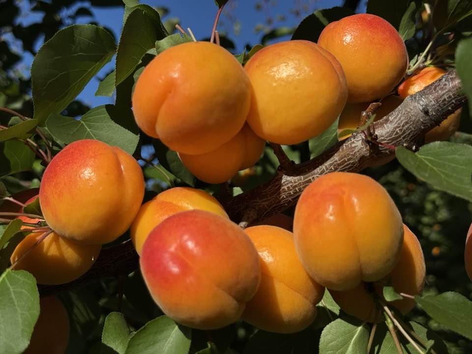 MeteOrihuela tweet media