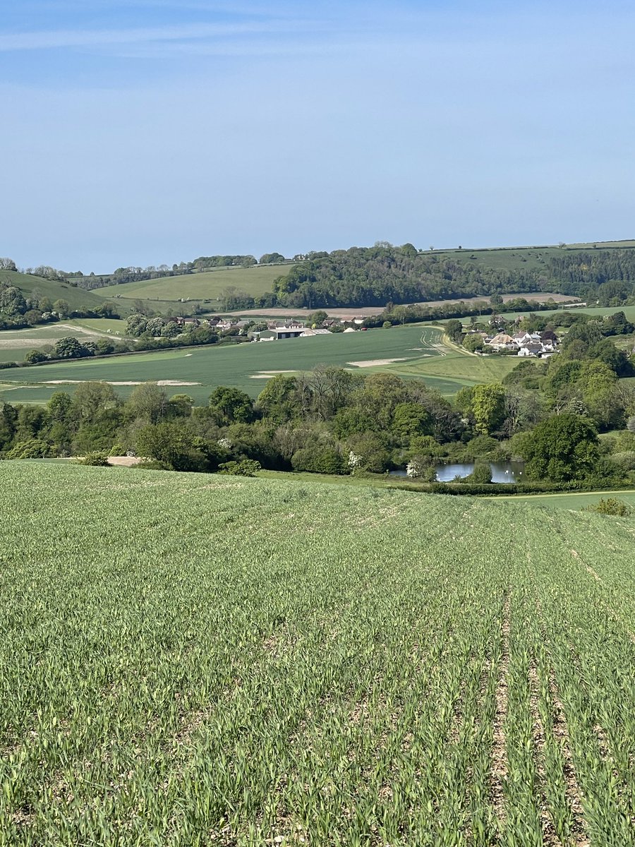 Melcombe Bingham (@melcombeb) on Twitter photo 