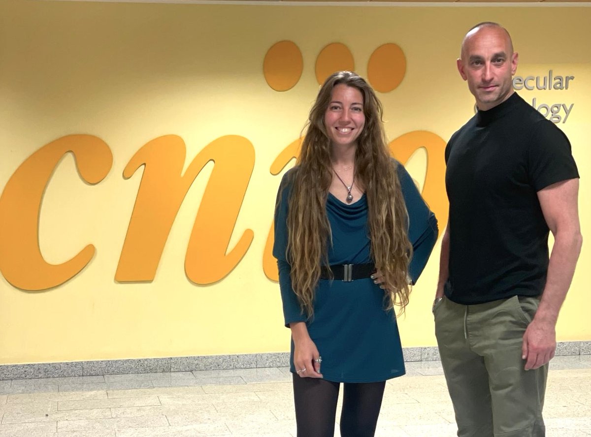 En un nuevo estudio <a href="/NabilDjouder/">Nabil Djouder</a> e <a href="/irene_hmontoya/">Irene Herranz Montoya</a> , de #CNIOStopCancer, descubren en modelos animales que la escasez de la proteína p53 desencadena la formación de tumores colorrectales. Este tipo de cáncer es el tercero más diagnosticado en el mundo.

bit.ly/4jDpKPi