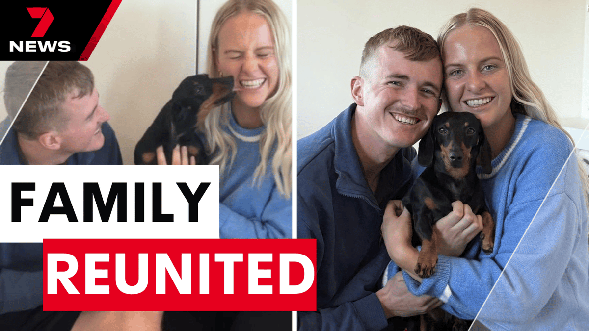 7NEWS Adelaide (@7newsadelaide) on Twitter photo <a href="/mjstanley7/">Madison Stanley</a> It is the long-awaited reunion that was 540 days in the making. After going missing while on holiday on Kangaroo Island, Valerie the sausage dog has finally been returned to her loving owners. youtu.be/9wj9RWzvZZM <a href="/mjstanley7/">Madison Stanley</a> #7NEWS <a href="/mjstanley7/">Madison Stanley</a> It is the long-awaited reunion that was 540 days in the making. After going missing while on holiday on Kangaroo Island, Valerie the sausage dog has finally been returned to her loving owners. youtu.be/9wj9RWzvZZM <a href="/mjstanley7/">Madison Stanley</a> #7NEWS