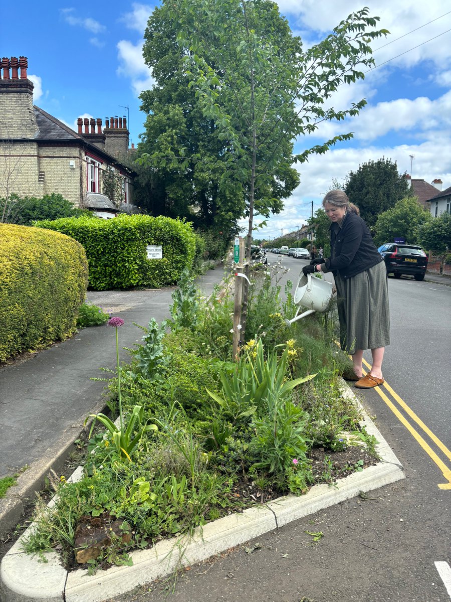 Young trees need around 50 litres of water per week to thrive in summer months, even more when the weather is hot and dry ☀️

Your local street trees need YOU to ensure they can survive the hotter months of the year, will you answer the call? ☎️