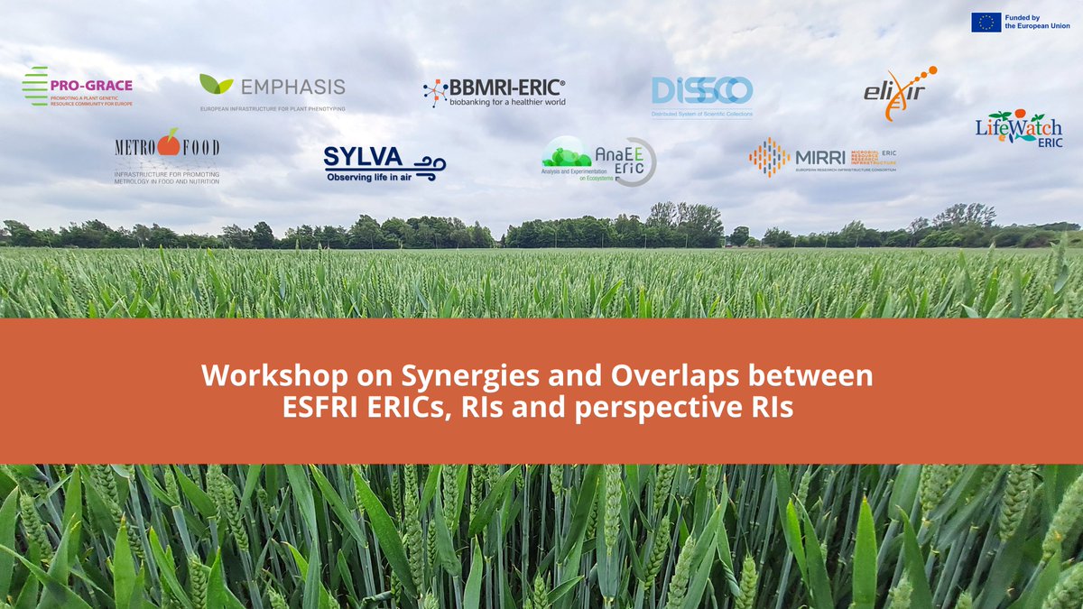🔬🤝 The PRO-GRACE project has hosted an online workshop bringing together leading European Research Infrastructures to explore synergies, shared challenges, and strategic collaboration opportunities.

ℹ️Learn more details here: grace-ri.eu/pro-grace/reso…

<a href="/ESFRI_eu/">ESFRI_eu</a> <a href="/EUgreenresearch/">EU green research</a>
