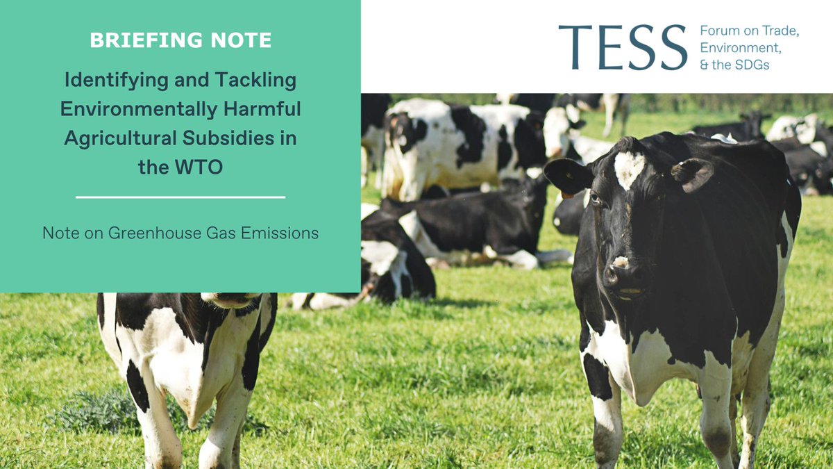 Forum on Trade, Environment & the SDGs (@tessforum) on Twitter photo 🌍📊 New Briefing Note Alert! 📊🌍
Discover the latest insights on the agricultural sector's impact on greenhouse gas emissions.
This briefing note by Anthony Cox <a href="/AnthonyCoxParis/">Anthony Cox</a> delves into social, economic, & environmental trade-offs, & discusses priorities for reforming 🌍📊 New Briefing Note Alert! 📊🌍
Discover the latest insights on the agricultural sector's impact on greenhouse gas emissions.
This briefing note by Anthony Cox <a href="/AnthonyCoxParis/">Anthony Cox</a> delves into social, economic, & environmental trade-offs, & discusses priorities for reforming