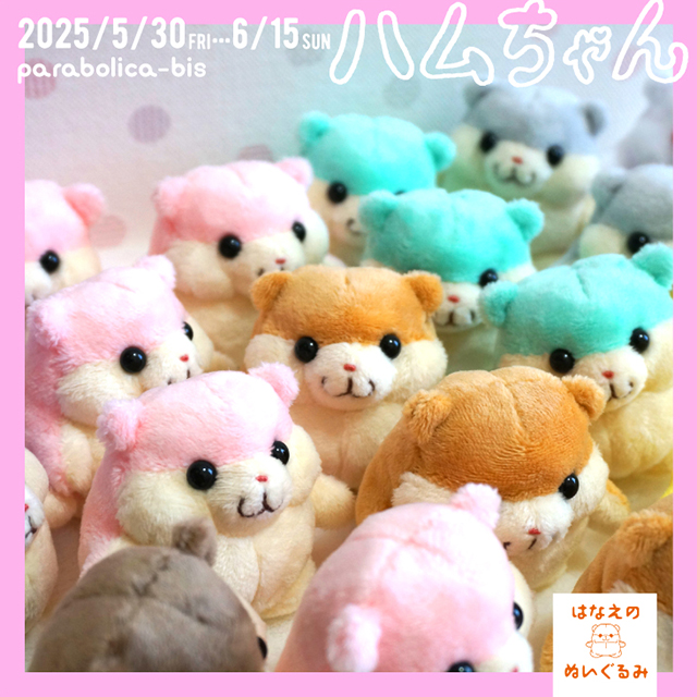 ハムちゃん様① 写真集『ハムちゃん』🐹 はなえさんの頭の中ではハムちゃん達がこんな