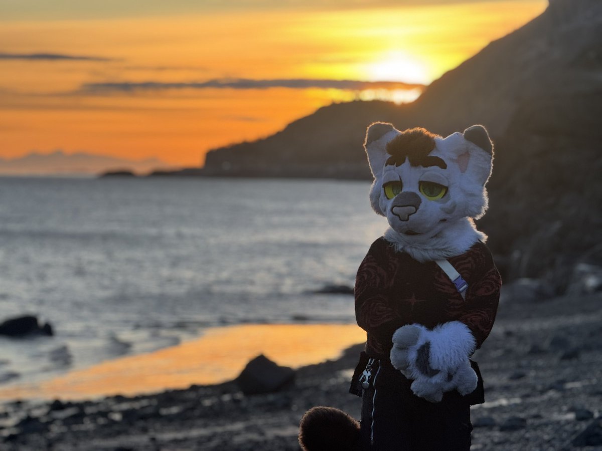 Golden hour☀️🧡🐱
~
📷<a href="/AkFrostbiteVR/">FrostbiteVR</a>